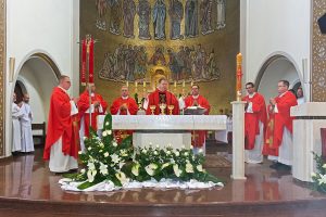 25. rocznica święceń kapłańskich proboszcza (12)