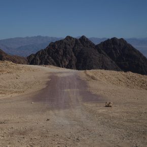 pielgrzymka ziemia święta i jordania (1)