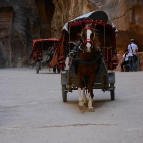 pielgrzymka ziemia święta i jordania (10)