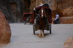 pielgrzymka ziemia święta i jordania (10)
