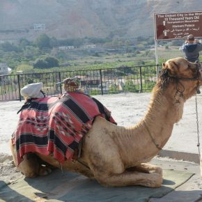 pielgrzymka ziemia święta i jordania (18)