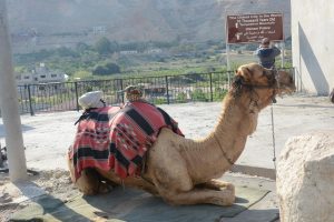 pielgrzymka ziemia święta i jordania (18)