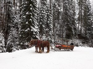 kulig - wisła (6)