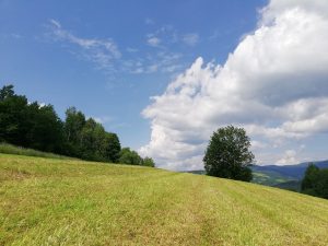 ochotnica - ministranci (17)