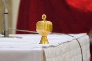 bierzmowanie 2019 (8)