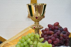 prymicje ks marcina maciejczyka (1)
