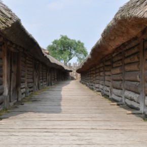 Pielgrzymka Gniezno, Biskupin, Bąblin, Poznań, Soplicowo