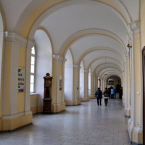 pielgrzymka trzebnica 15