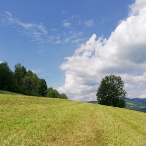 ochotnica - ministranci (17)