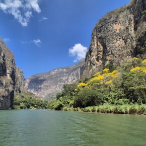 guadalupe (13)