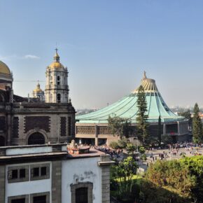 guadalupe (3)