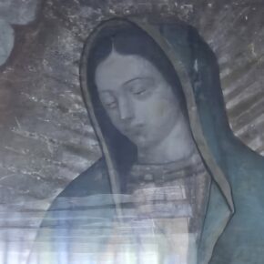 guadalupe (5)